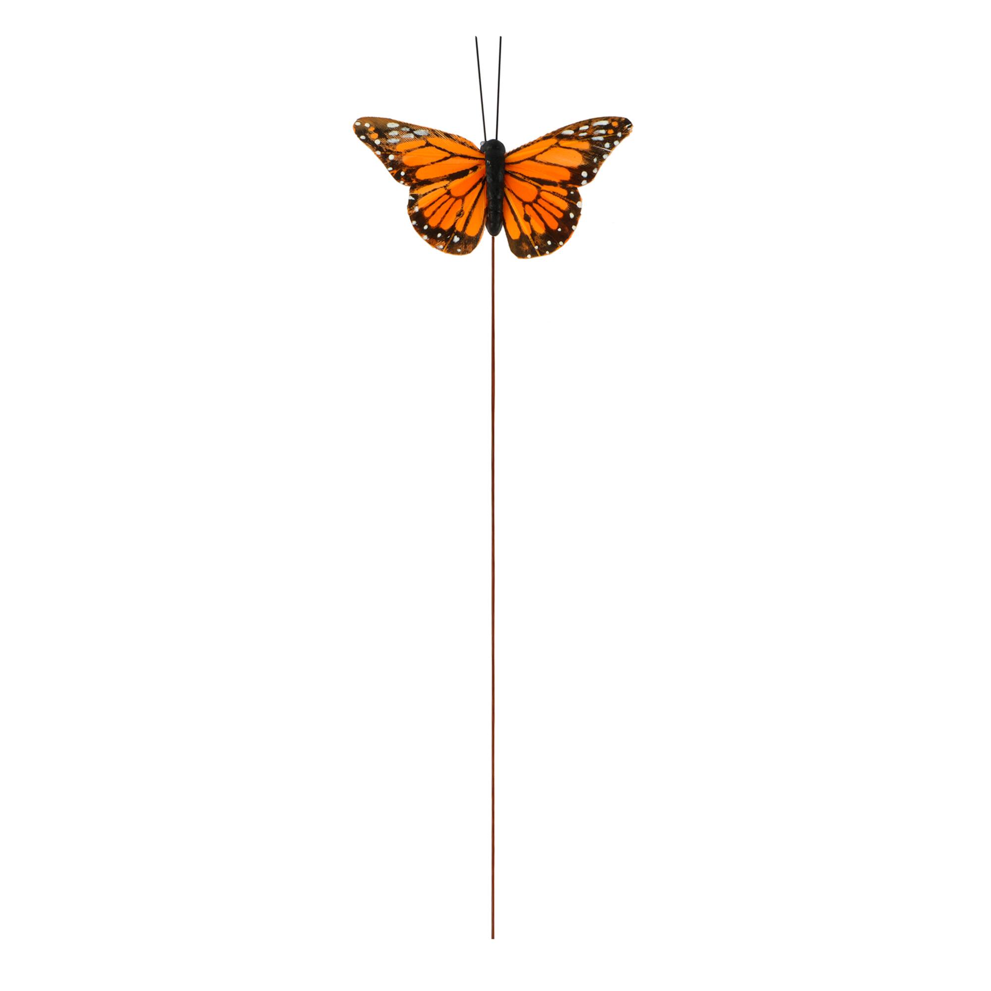 Orange Monarch Butterflies